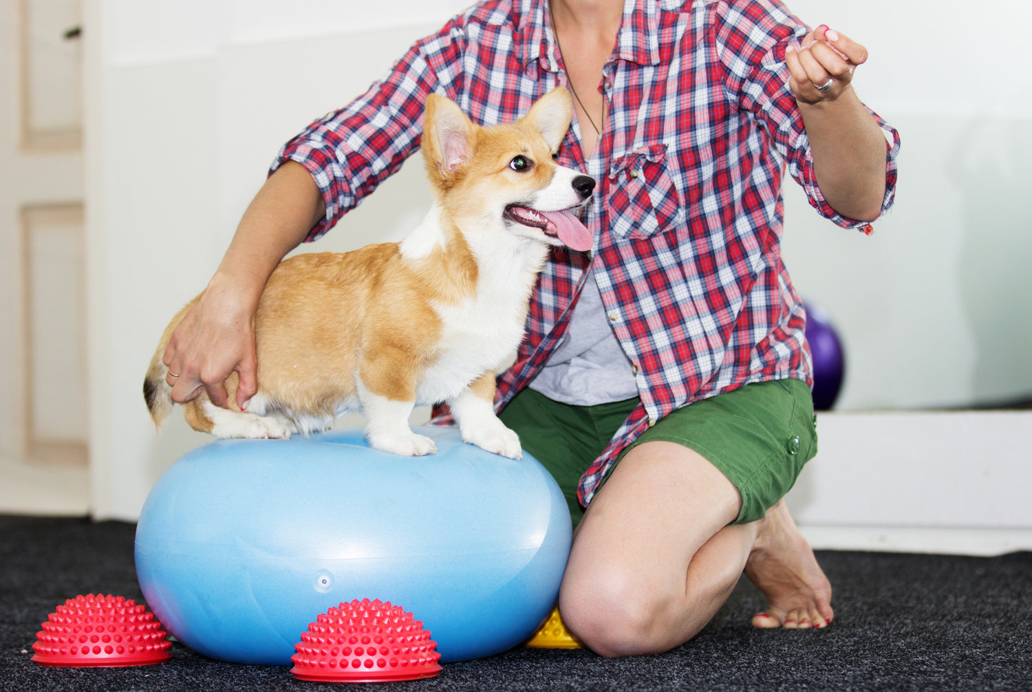 Rocky Mountain Dog Training - Training Style